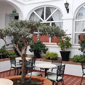 Olivos Arcos de la Frontera